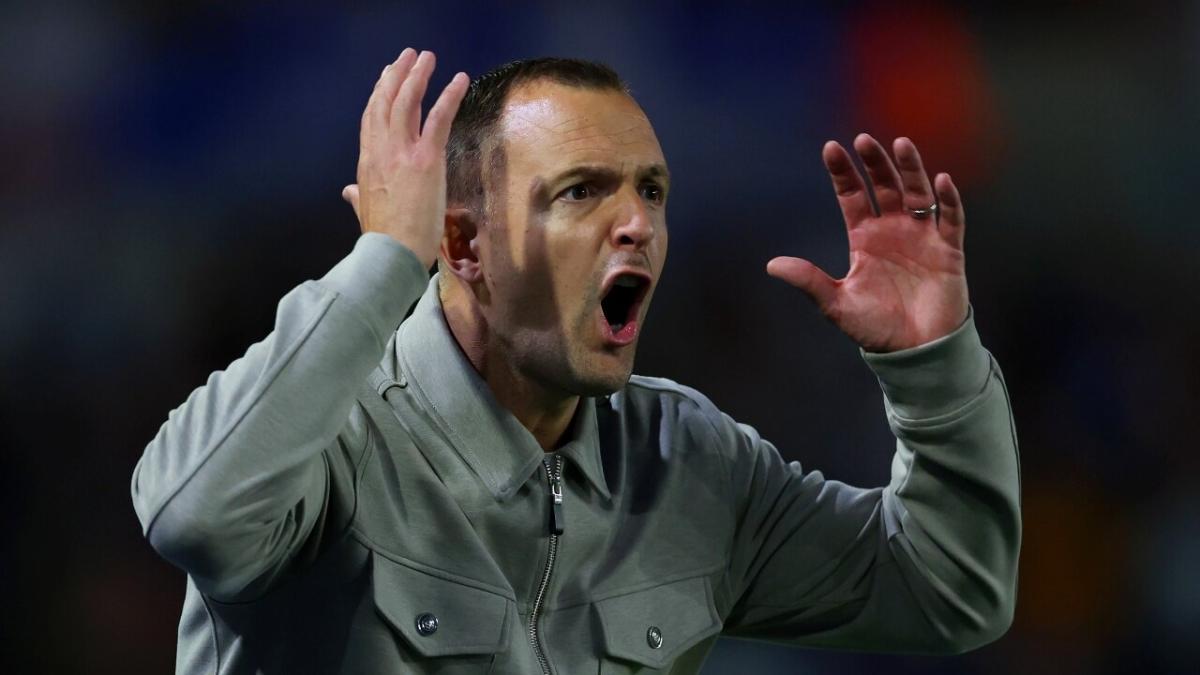 Birmingham manager Chris Davies 